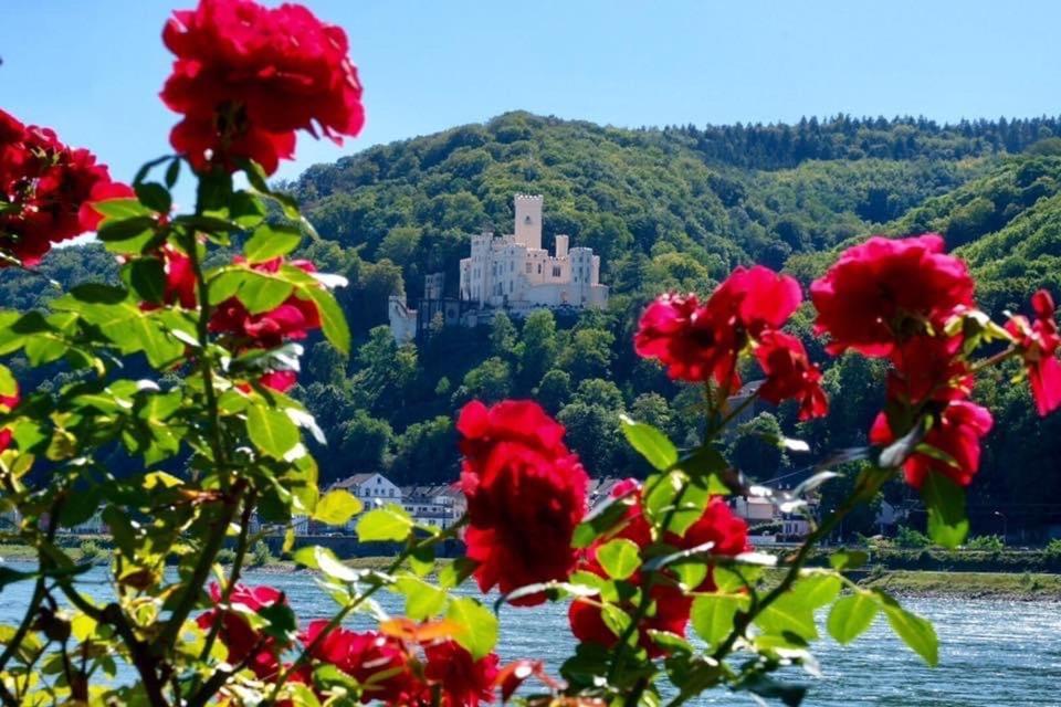 Villa Lahr Lahr  ภายนอก รูปภาพ